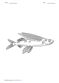 Flyingfish 